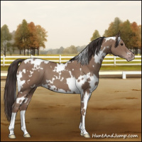 Horse Color:White Spotted Classic Champagne 