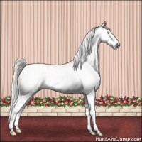 Horse Color:Gray Silver Amber Cream Champagne Roan Dun Splash Tobiano Frame Appaloosa Rabicano