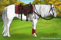 Horse Color:White Spotted Brown Tobiano Frame Appaloosa 