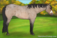 Horse Color:Bay Roan Dun 