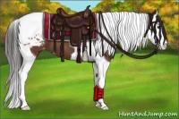Horse Color:Bay Splash Tobiano Blanket 
