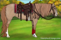 Horse Color:Red Dun Sabino