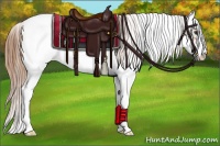 Horse Color:Chestnut Sabino Appaloosa 