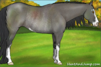 Horse Color:Grullo Sabino Rabicano 