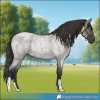 Horse Color:Smoky Grullo Roan Rabicano 