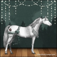 Horse Color:Gray White Spotted Blue Roan Rabicano 