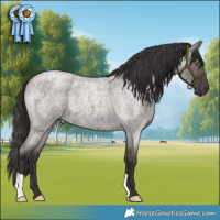 Horse Color:Smoky Grullo Roan 
