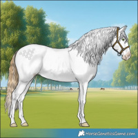 Horse Color:Smoky Grullo Roan Sabino Varnish 