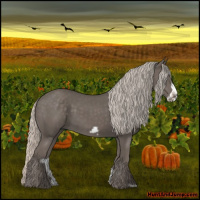 Horse Color:Silver Black Frame