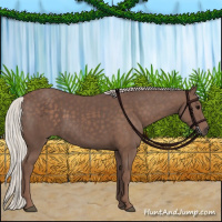 Horse Color:Silver Black