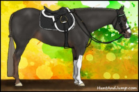 Horse Color:Liver Chestnut Mushroom 