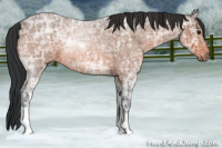 Horse Color:Bay Ice Roan 