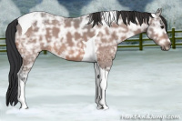 Horse Color:Bay Ice Tobiano 