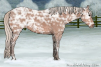 Horse Color:Silver Bay Ice 