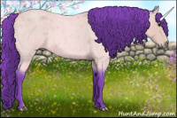 Horse Color:Watercolor Buckskin Roan 