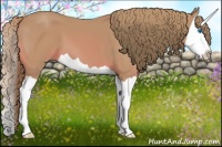 Horse Color:Watercolor Chestnut Splash 