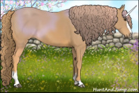 Horse Color:Watercolor Chestnut Sabino 