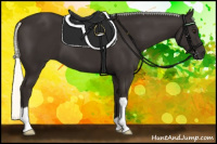 Horse Color:Liver Chestnut Mushroom 