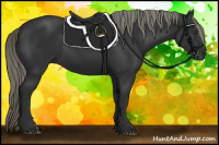 Horse Color:Liver Chestnut Mushroom 