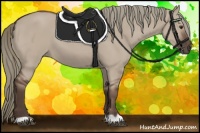 Horse Color:Liver Red Dun Mushroom 