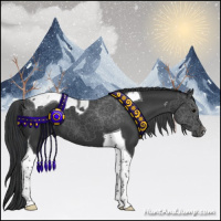 Horse Color:Black Tobiano 