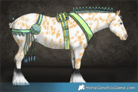 Horse Color:Chestnut Splash Frame Appaloosa  and Palomino Appaloosa 