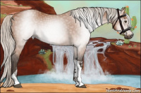 Horse Color:Gray Silver Bay Tobiano 