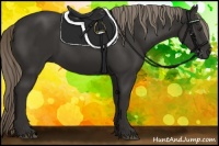 Horse Color:Liver Chestnut Mushroom 