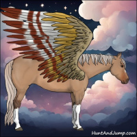 Horse Color:Silver Bay Dun 