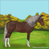 Horse Color:Silver Bay