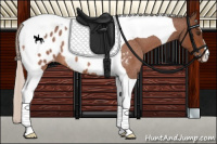 Horse Color:Silver Brown Roan Tobiano Blanket 