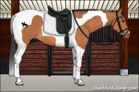 Horse Color:Bay Tobiano 