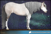 Horse Color:Brown Roan Dun Sabino 