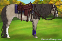 Horse Color:Smoky Grullo