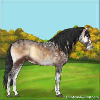 Horse Color:Bay Ice Onyx 