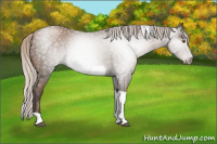 Horse Color:Gray Silver Black Pearl Tobiano 