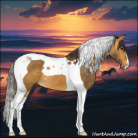 Horse Color:Buckskin Tobiano 