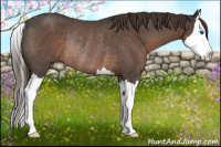 Horse Color:Liver Red Roan Splash Rabicano
