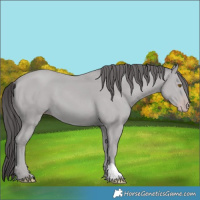 Horse Color:Platinum Classic Cream Champagne 