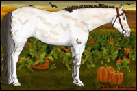 Horse Color:White Spotted Amber Champagne Roan Dun 