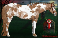 Horse Color:White Spotted Chestnut Tobiano 