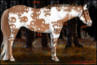 Horse Color:White Spotted Chestnut Splash Frame 