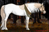 Horse Color:Gold Champagne Sabino 
