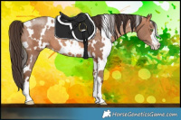 Horse Color:White Spotted Sable Champagne 