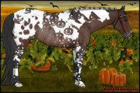 Horse Color:Brown Tobiano Blanket Rabicano 
