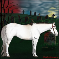 Horse Color:Gray Bay Pearl Dun Sabino Tobiano Rabicano
