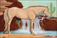 Horse Color:Gold Champagne Splash