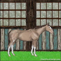 Horse Color:White Spotted Classic Champagne 