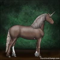 Horse Color:Silver Black 