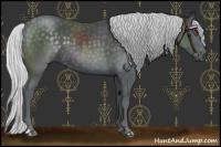 Horse Color:Silver Black Chinchilla 